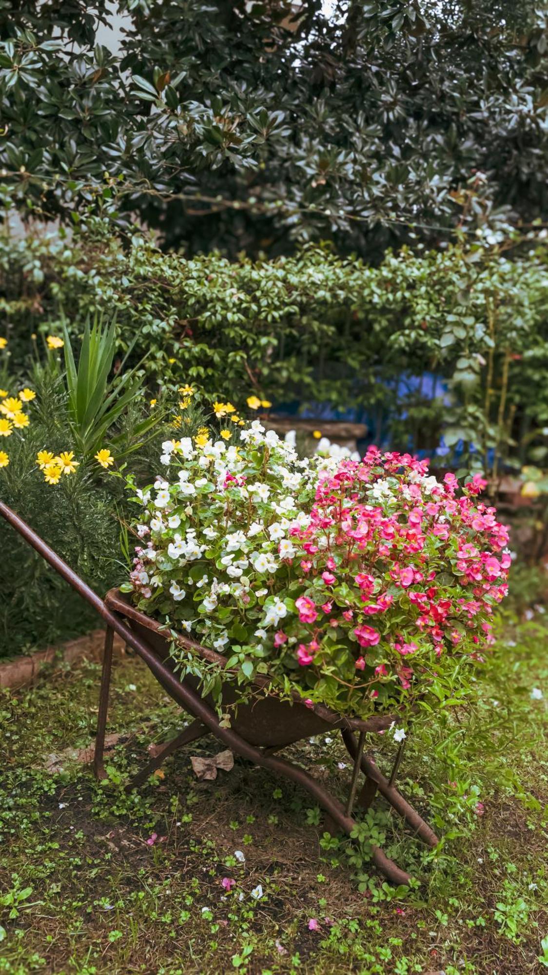 La Serra Sognante, Un Rifugio Incantevole Tra Natura E Relax Florencia Exterior foto